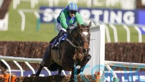 Mullins to leave it late before making Appreciate It decision