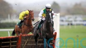 Hillcrest has Prestige option after Cheltenham mishap