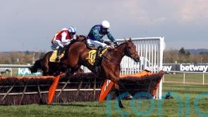 O’Brien confident Thyme Hill can make his Cheltenham Festival mark