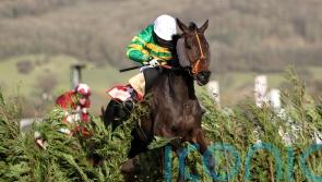 Easysland to make Sandown debut for Jonjo O’Neill
