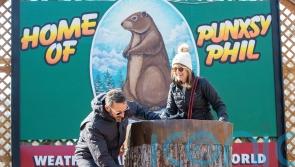 Punxsutawney Phil prepares to make Groundhog Day prediction