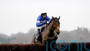 Nicholls targeting more Scilly success with Pic D’Orhy