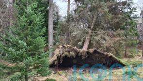 Final customers to have power restored following weekend storms