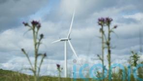 MLAs back more ambitious green energy target as climate laws debate continues