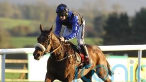 Fahey duo take weekend Festival tests