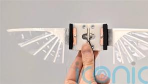 Scientists develop robots the size of insects that flap their wings to fly