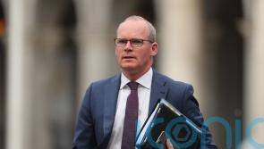 Halting Brexit checks would be a breach of international law, warns Coveney