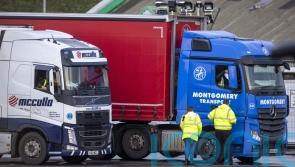 Status of Brexit checks at ports unclear after minister orders them to halt