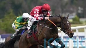 Mighty Potter to take direct route to Cheltenham Festival