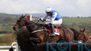 Townend: Frodon is a help, not hindrance to Kemboy chance
