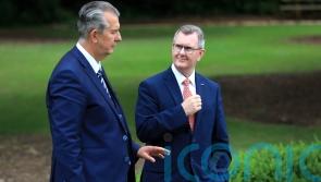 DUP leader denies he encouraged Poots to run in South Down