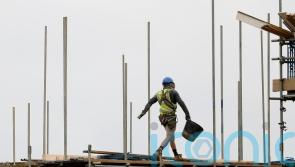 Construction sector grows for 12 consecutive months