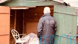 Vulnerable man made to live in horse box and squalid shed for years
