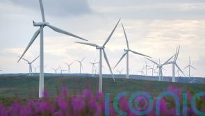 Wind farms push down energy prices says SSE boss after ‘misconstrued’ debate