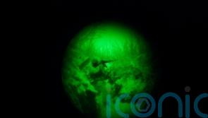 French and German leaders to visit Russia and Ukraine in bid to deter invasion