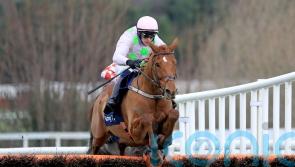 Vauban powers to Spring Juvenile victory