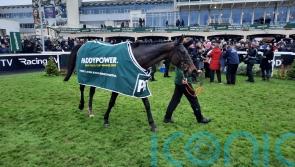 Conflated causes major upset in Irish Gold Cup