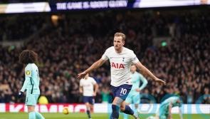 Harry Kane inspires Tottenham to comfortable FA Cup win over Brighton