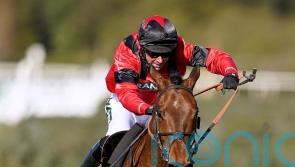 Big decisions await Ahoy Senor team after Wetherby