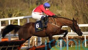 Sir Gerhard stays unbeaten over hurdles with smooth success