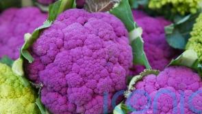 Discover the power of purple veg