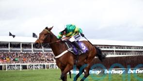 Champ confirmed for Stayers’ Hurdle – but no Cheltenham for Sharjah