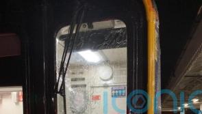Driver injured as brick thrown at train