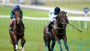 Royal Patronage likely to head down Derby route