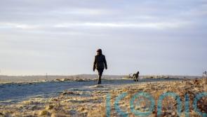 Take out stiles and help ‘trespassers’ back to the path, farmers advised