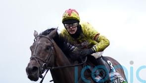 Protektorat ready to take on the best at Cheltenham