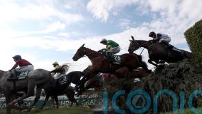 Discorama team on tenterhooks ahead of National weights reveal