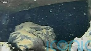 Robot photos appear to show melted fuel at Fukushima reactor