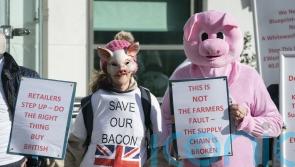 Summit held to address ‘desperate’ crisis facing pig industry