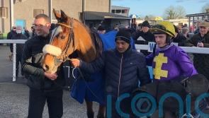 Falcon takes flight to get off the mark over hurdles
