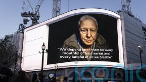 David Attenborough lights up Piccadilly Circus with message about plant power