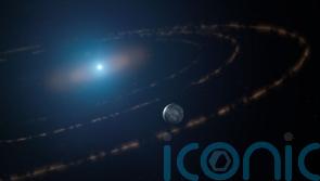 Planetary bodies seen for first time in habitable zone of dead star – scientists