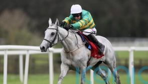 Elimay has ‘perfect launchpad’ for Cheltenham return