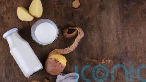 Everything you need to know about potato milk, the newest dairy alternative