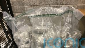 £200,000 worth of cannabis seized at harbour