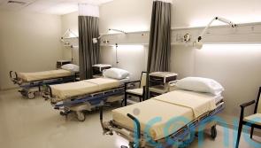 Hospital patient dies from confirmed case of Lassa fever, UKHSA says