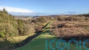 Roman fort damaged by suspected illegal metal detecting