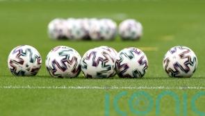Lee Hamilton goal gives Edinburgh City victory over Stirling