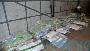 Two held as cocaine and cannabis worth £1.8m seized at Belfast Harbour