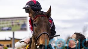 Funambule Sivola dominates in Game Spirit victory – now for Cheltenham