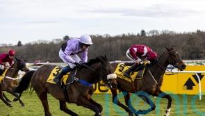 Glory goes to Lacey and Sheppard in Betfair Hurdle