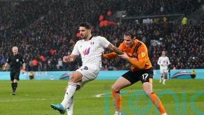 Aleksander Mitrovic on target again as Fulham see off Hull