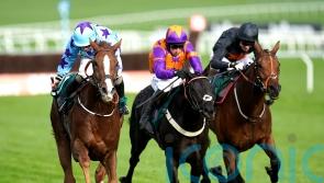 McConnell lining up dual challenge on Albert Bartlett prize