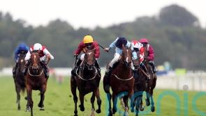 Spycatcher to take direct route to Finals Day at Newcastle