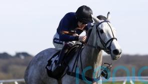 Snow Leopardess pounces for Listed glory at Exeter
