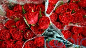Feeling blue could be why you forgot to buy those Valentine’s Day flowers